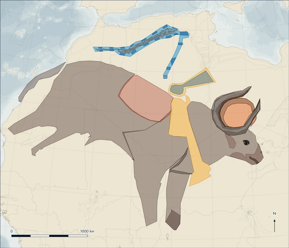 Catalogue plate: Apis, traced on satellite imagery